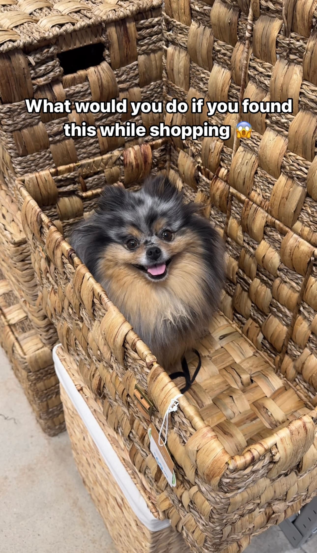 At Home Stores featured image