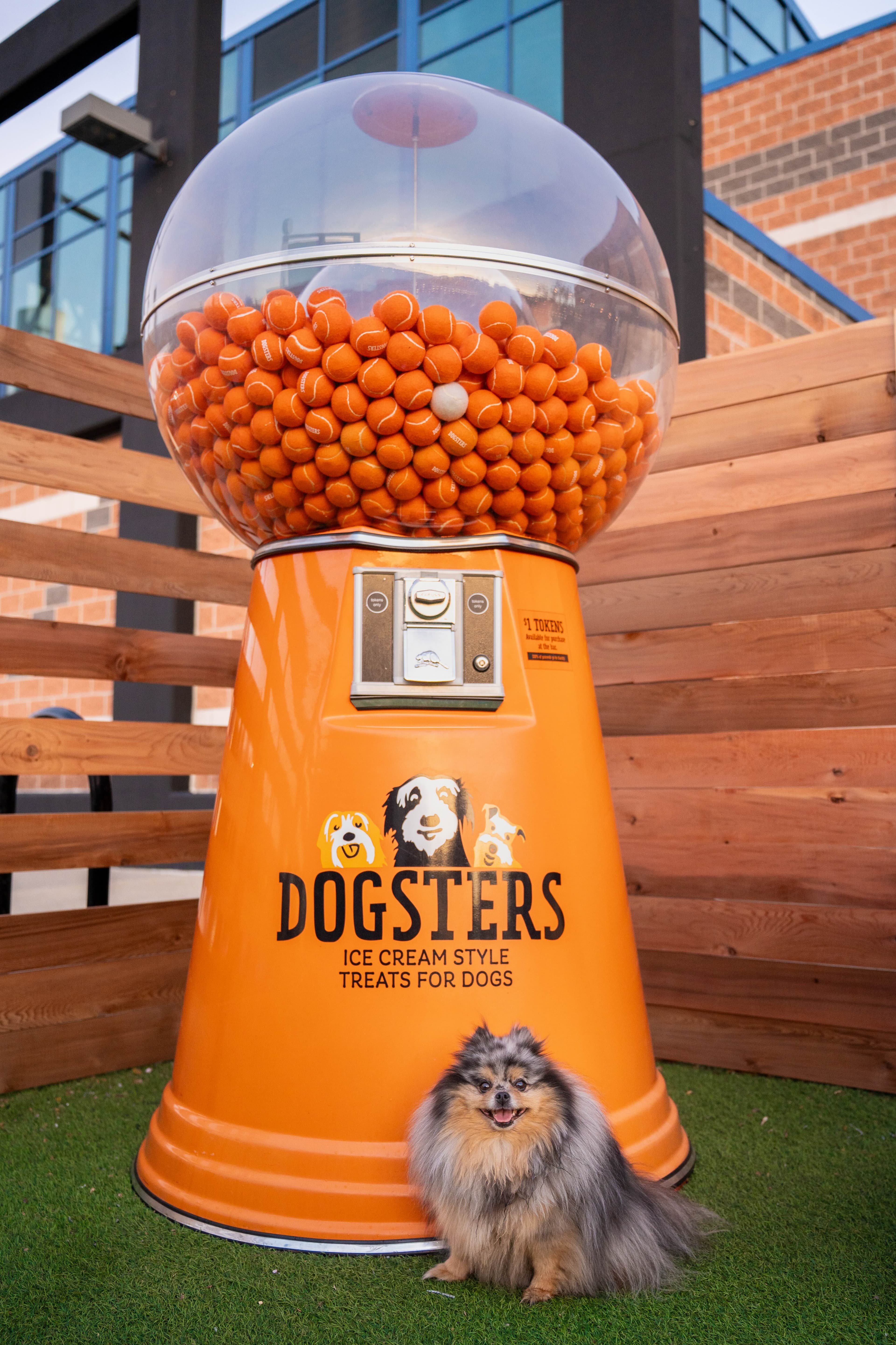 Dogsters X Fetch Philly featured image