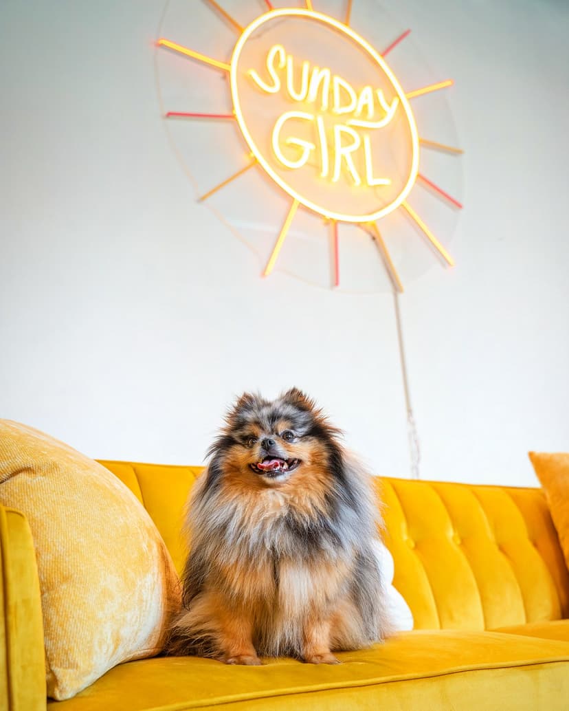 Sunday Girl Cafe Featured Image