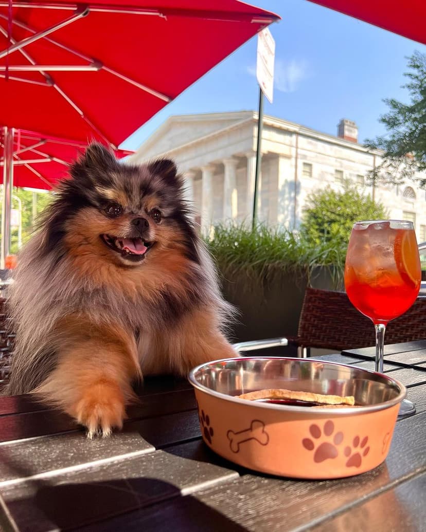 Red Owl Tavern Featured Image