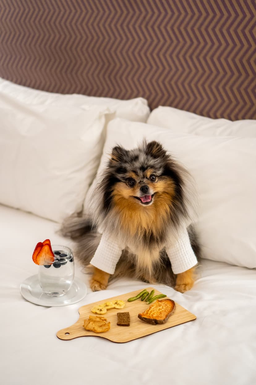 Kimpton Hotel Featured Image